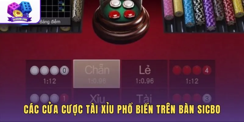 Các cửa cược tài xỉu phổ biến trên bàn Sicbo với ba viên xúc xắc
