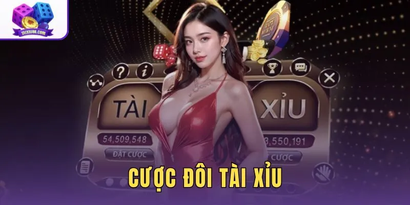 Cược Đôi Tài Xỉu Là Gì? Cách Chơi Và Phân Biệt Dễ Hiểu